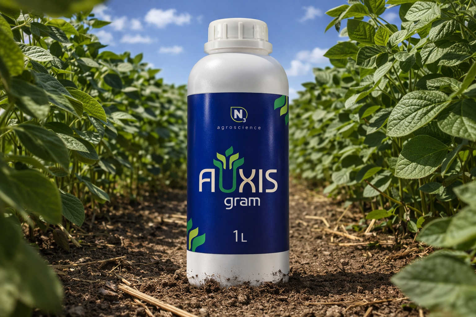 Auxis Gram